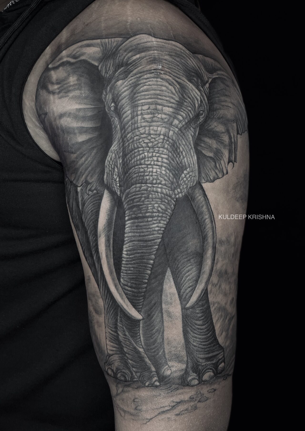 The Deepink Tattooz 081368 33401 Tattoo and piercing shop Kochi